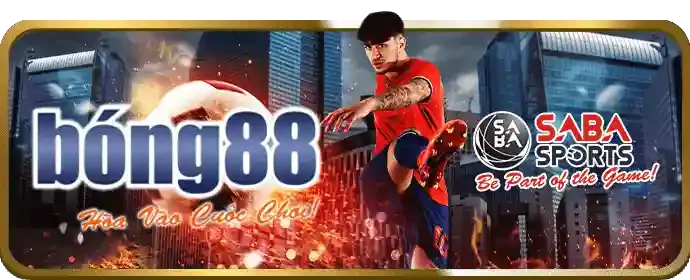 Cá cược đá gà trực tiếp
