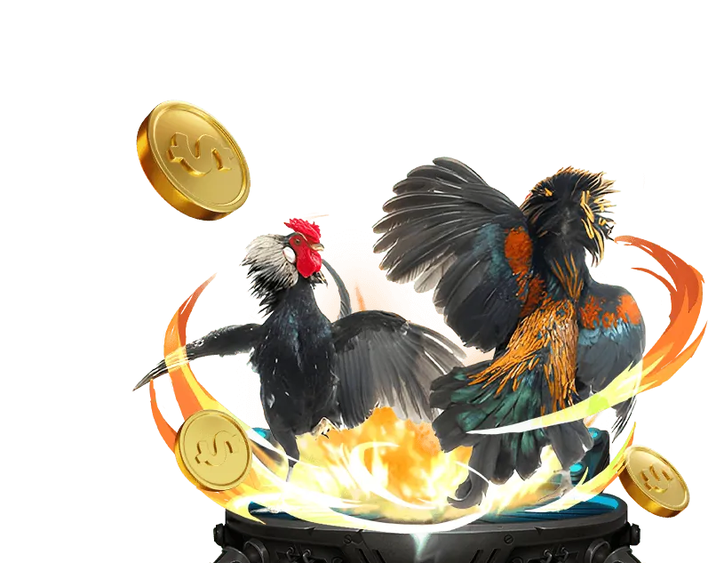 Tổng hợp các trò chơi cá cược thể thao, casino trực tuyến, slot game tại okevip chính thức
